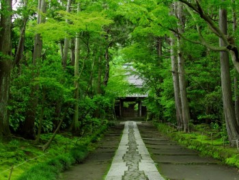 鎌倉寿福寺